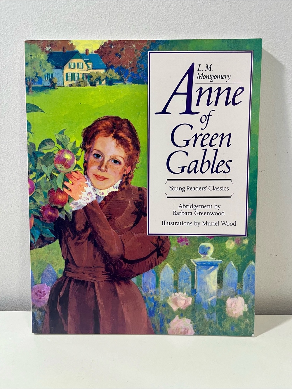 Anne of Green Gables Young Readers' Classics Illustrated Kids Paperback Book